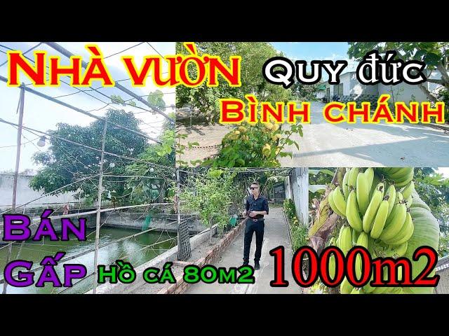 Bán nhà vườn víp . Quy đức bình chánh 1000m2 giá ưu đãi đầu năm 2024