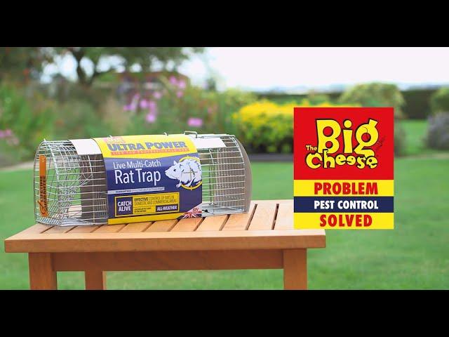 The Big Cheese Ultra Power Live Multi-Catch Rat Trap - STV080