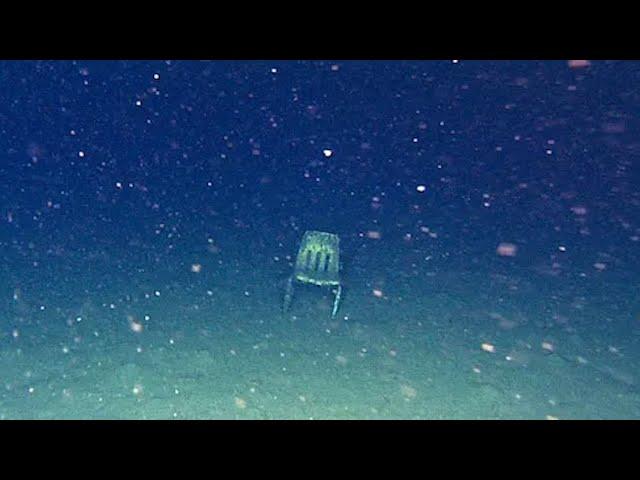 alone at the bottom of the ocean | Underwater Music Compilation to Chill To [DSO OST]