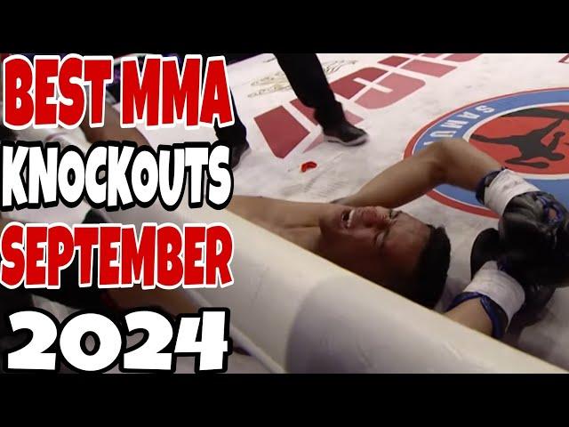 MMA’s Best Knockouts I September 2024 HD Week 1