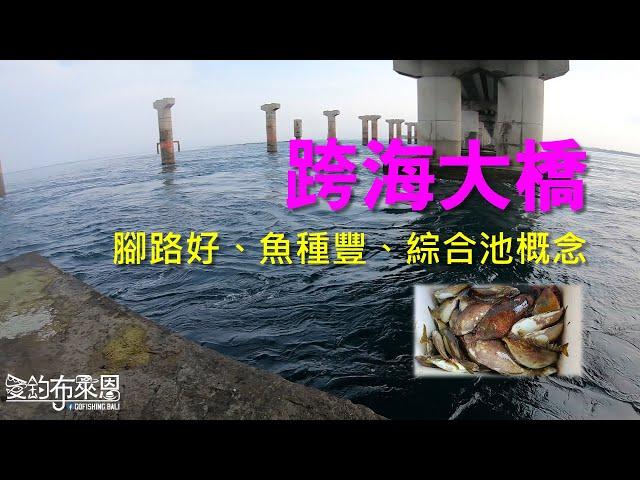 再訪跨海大橋，臭肚攻略，甚麼魚都有的綜合池!  #澎湖 #橋墩 #釣魚記