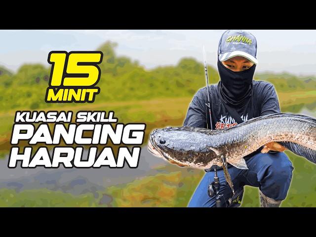 JADI PROCASTER HARUAN DALAM 15 MINIT [EXP TUTORIAL]