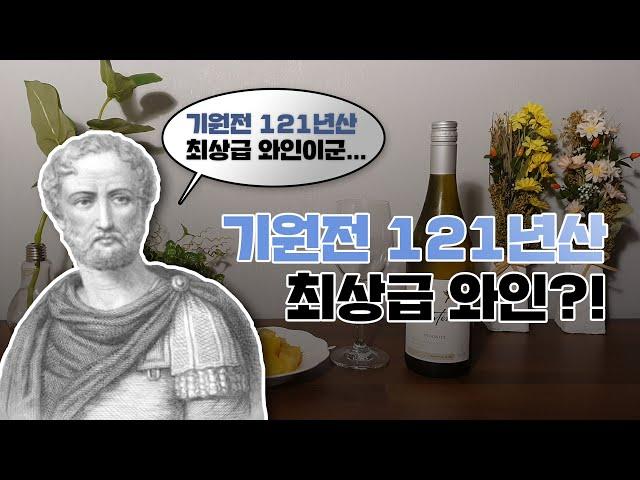 알고 있으면 100% 도움되는 와인 꿀팁 Top 8