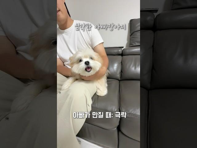 아빠 vs 엄마 만질 때 차이