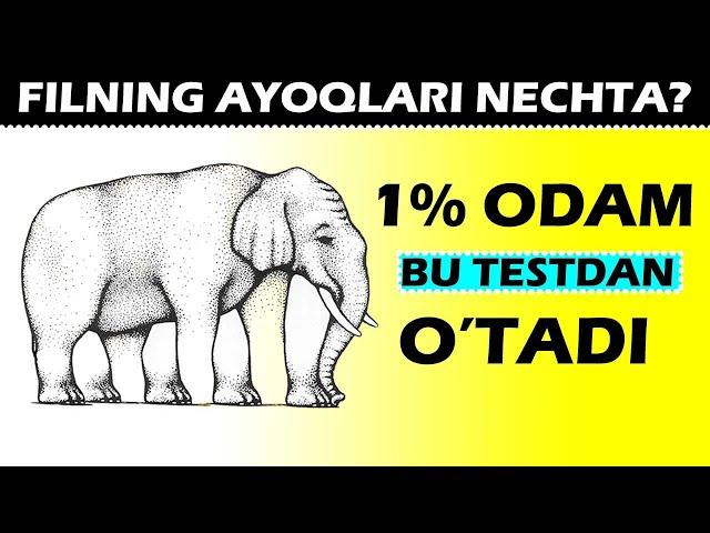 10 ta sur’at yordamida IQingizni bilib oling!