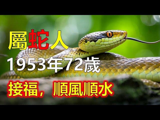 1953年 屬蛇人 今年72歲 癸巳年生，天降福財、貴人現身，只看你是否持念佛號迎接橫財#屬蛇 #生肖蛇 #1953