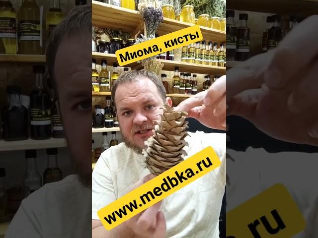 от миомы, от кист / Павел Литовкин / Медовик Травник / www.medbka.ru