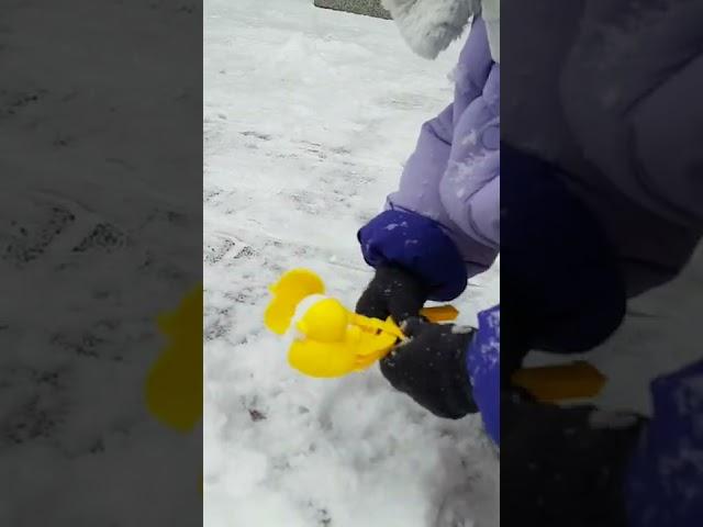 눈오는 날 눈오리 만드는 딸래미. A daughter who makes snow duck on a snowy day.