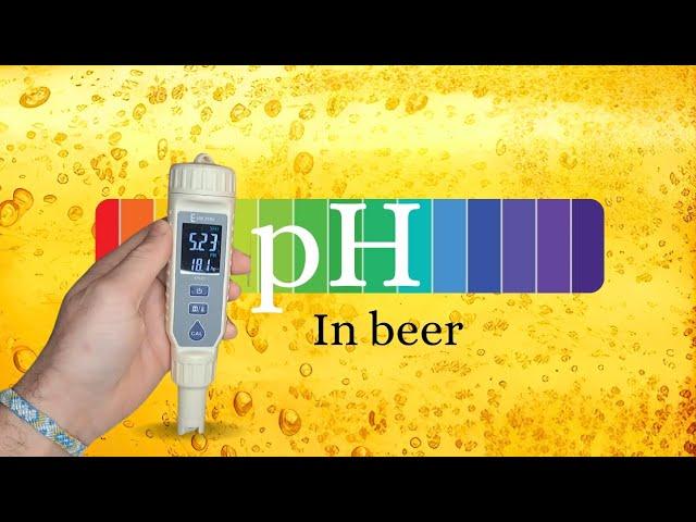 Measuring pH in Beer