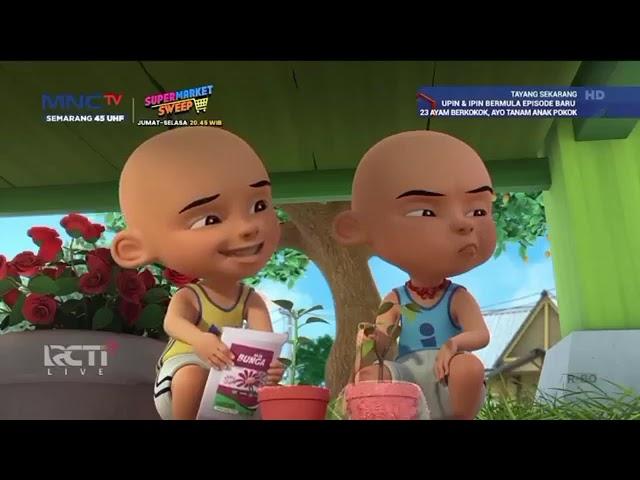 UPIN IPIN TERBARU,POKOK