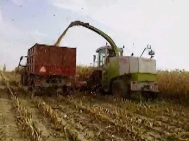 kukurydza 2012 z claas & john deere