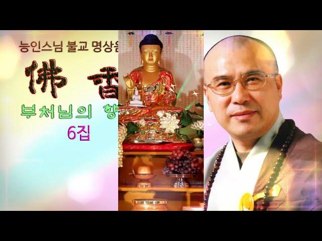 나무아미타불 관세음보살/능인스님