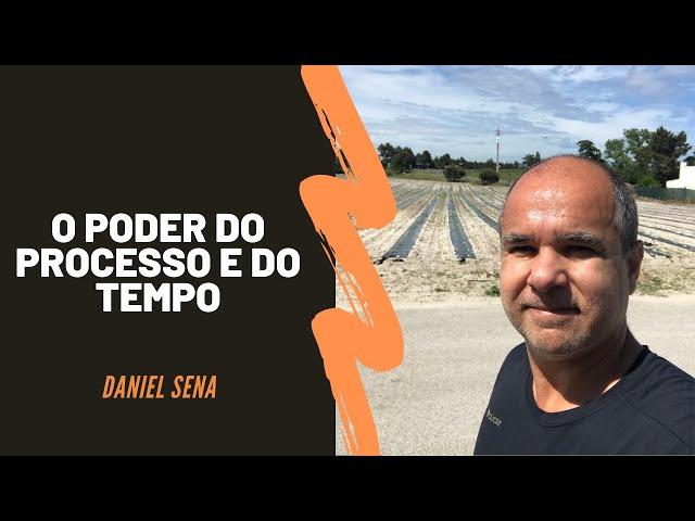 Foque no processo e confie no tempo | Daniel Sena