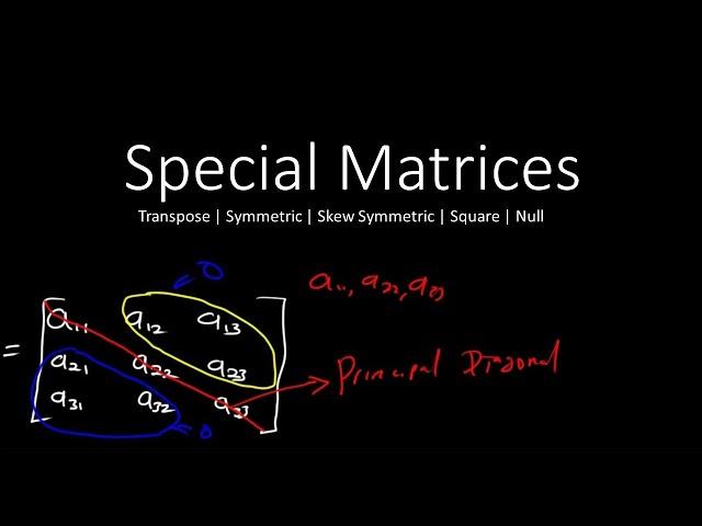 What are Special Matrices? | Full Explanation