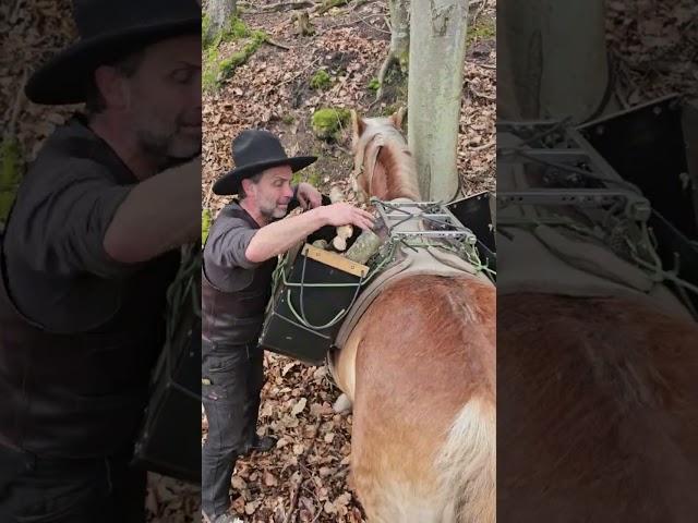 Vergessenes Handwerk! Waldarbeit, arbeiten mit dem Pferd / Packpferd ohne Lärm