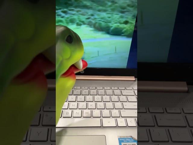 Snake Puppet gets jump-scared! #shorts #cringe #jumpscare