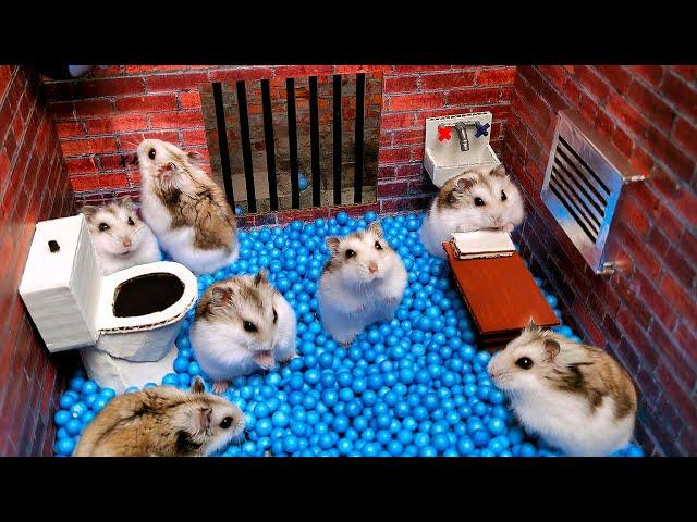 Hamster Escapes from the Prison Maze for Pets in real life  in Hamster stories Part 4