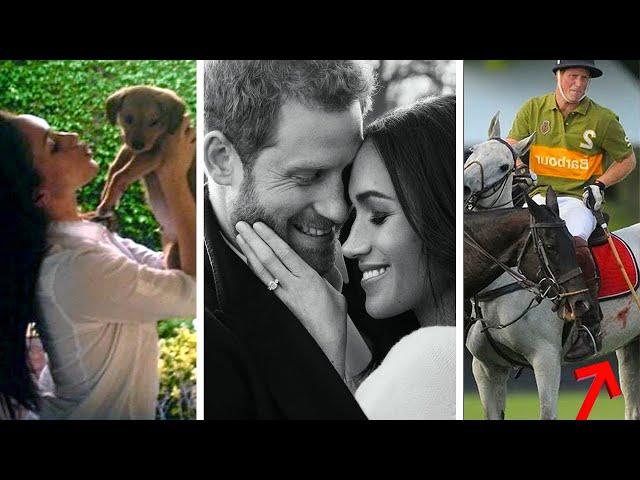 Harry and Meghan Documentary. From Animal Lovers to Royal Lovers.