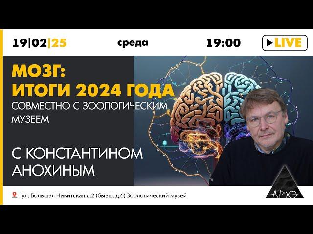 Константин Анохин - Мозг: итоги 2024 года