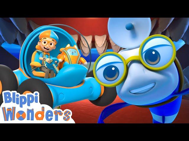 Say Hi to Blippi’s Ocean Buddies!  | Blippi Wonders Educational Videos for Kids