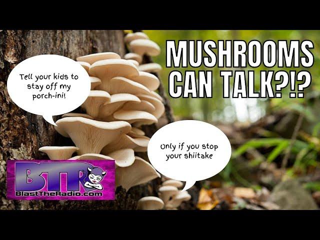 Mushrooms Can Talk?   Chris Fothergill-Brown from Youtube's That's Rank on BTR