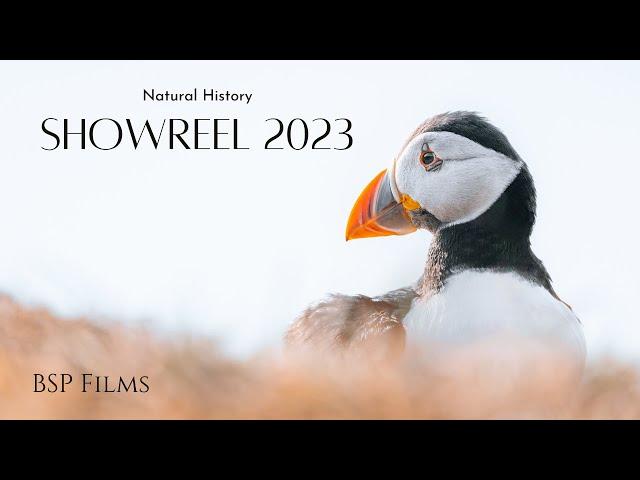 Wildlife Filmmaking Showreel 2023 | Wildlife DOP & Filmmaker | BSP Natural History & Travel Films