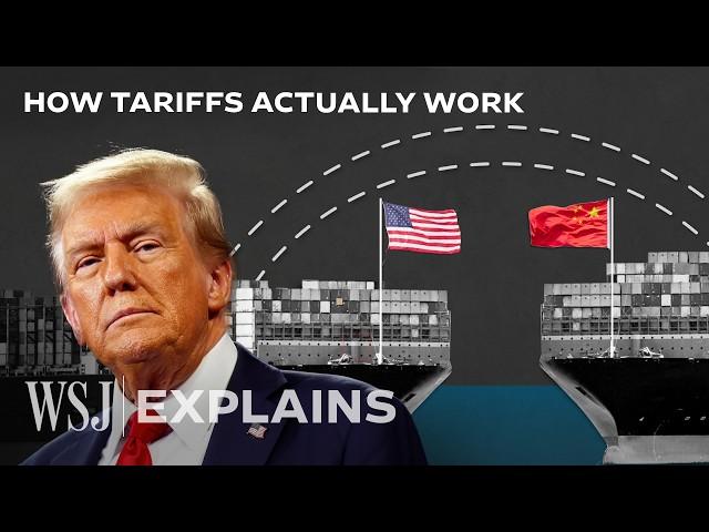 Why Economists Hate Trump's Tariff Plan | WSJ