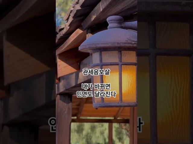 관세음보살 내가 바뀌면 인연도 달라진다 불교신자채널과 함께 매일 기도하세요