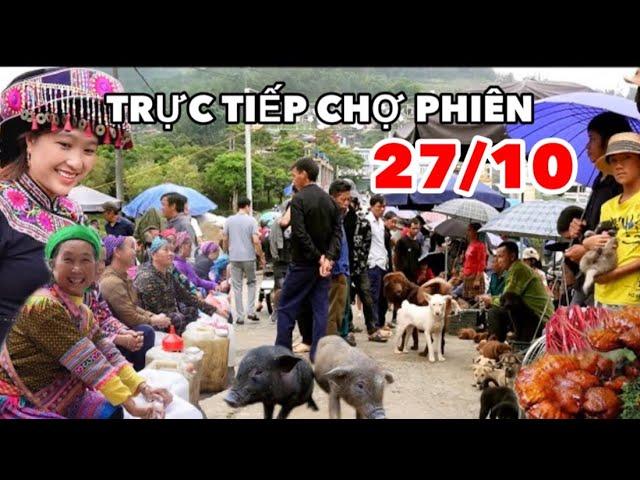 TRỰC TIẾP CHỢ PHIÊN 27/10 - ĐỘC ĐÁO PHIÊN CHỢ THẢO DƯỢC RỪNG