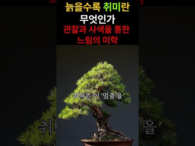 관찰과 사색을 통한 느림의 미학 6편#노년취미 #인문학 #삶의지혜 #노년생활 #취미생활 #마음치유 #자기성찰 #느림의미학 #삶의리듬 #존재의의미 #상실극복 #감각적행위 #삶과죽음