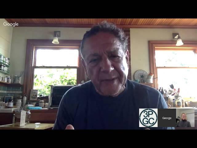 3PGC Webinar with George Pransky