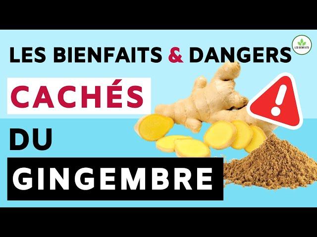 GINGEMBRE: SES DANGERS ET BIENFAITS POUR LA SANTE (ALIMENT MIRACLE )