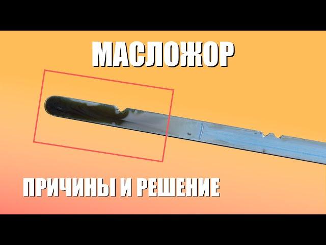 Честно про масложор двигателя и расход масла / Как выявить и устранить?