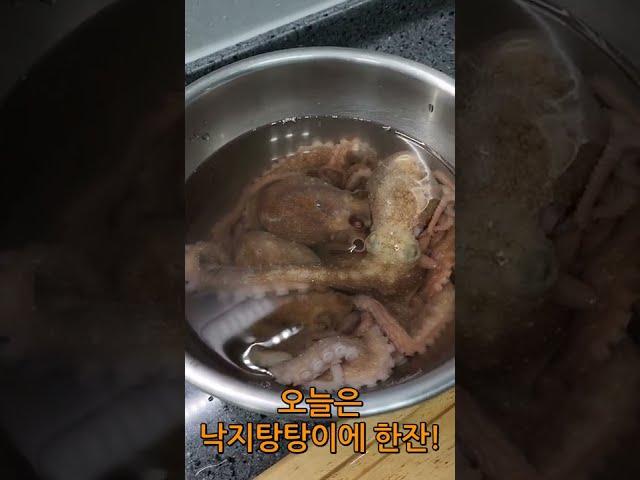 제철 낙지 탕탕이에 소주 한잔