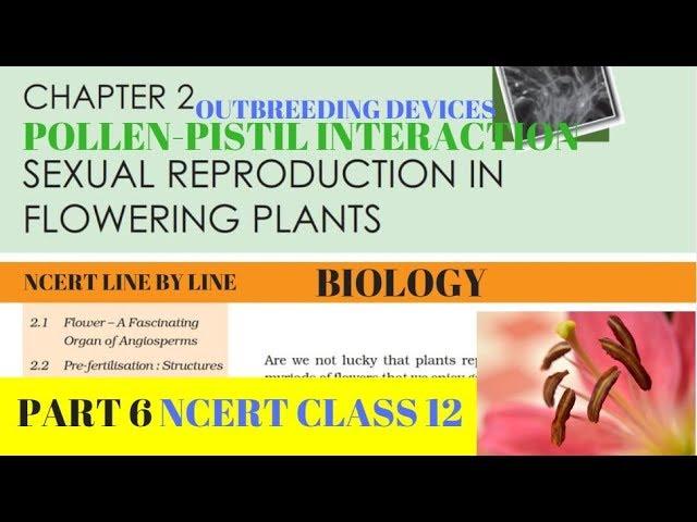 Part-6 SEXUAL REPRODUCTION IN FLOWERING PLANTS chapter-2 NCERT class 12th biology