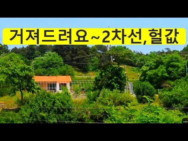 거져,가져가세요~헐값,2차선변,당17만원~버스정류장,4차선출구,시내권역,초급매,토지급매물,농막,컨테이너,시골집,농가주택,급매물부동산 매매,급매물과 반값매매