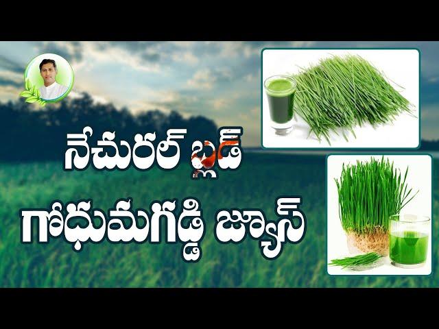 Wheatgrass Benefits | Health Benefits Of Wheatgrass Juice | Health Tips In Telugu