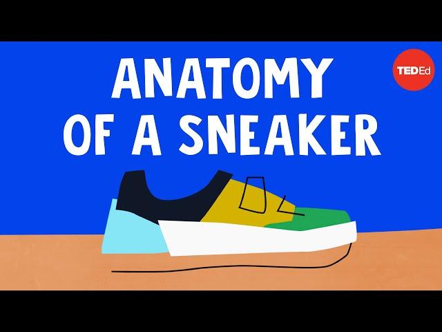 The wildly complex anatomy of a sneaker - Angel Chang