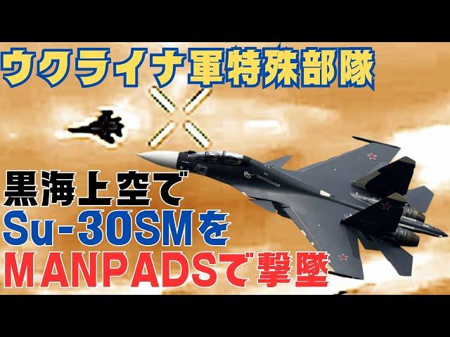 ウクライナ軍特殊部隊、黒海上空でロシア軍のSu-30SM戦闘機を撃墜