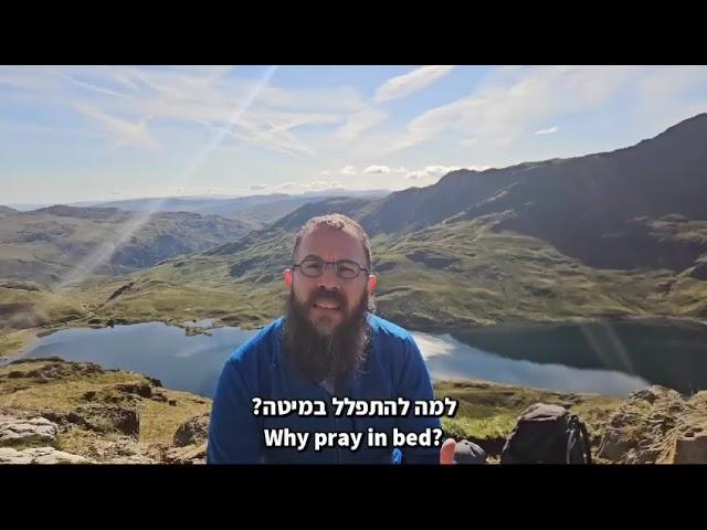 Parashat Ki Tavo - Bikurim. Rabbi Dovid Katz פרשת כי תבוא- ביכורים. הרב דוד כץ