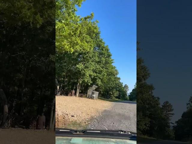 Enjoying this mild weather  #arkansas #samimog #summer #afternoondrive