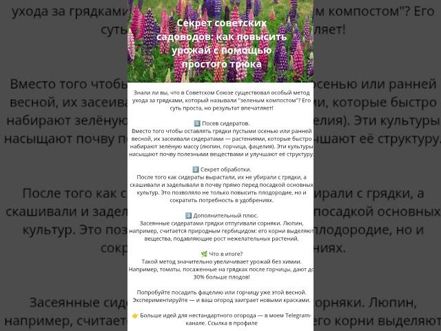 Секрет советских садоводов: как повысить урожай с помощью простого трюка #огород #дача #участок