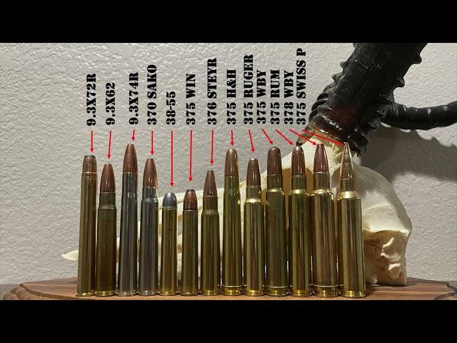 Ultimate Guide To 9.3mm & 375 Cal Cartridges | 9.3x62, 375 H&H, 375 Ruger, 375 RUM, 375 Wby & More!