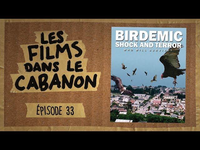 Les Films dans le Cabanon #33 - Birdemic: Shock and Terror