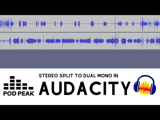 Split Stereo Track Into Dual Mono in Audacity