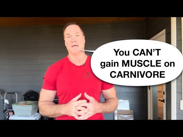 Impossible to gain muscle on a carnivore diet?