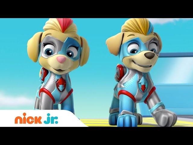 The Mighty Twins In Action  PAW Patrol | Nick Jr.