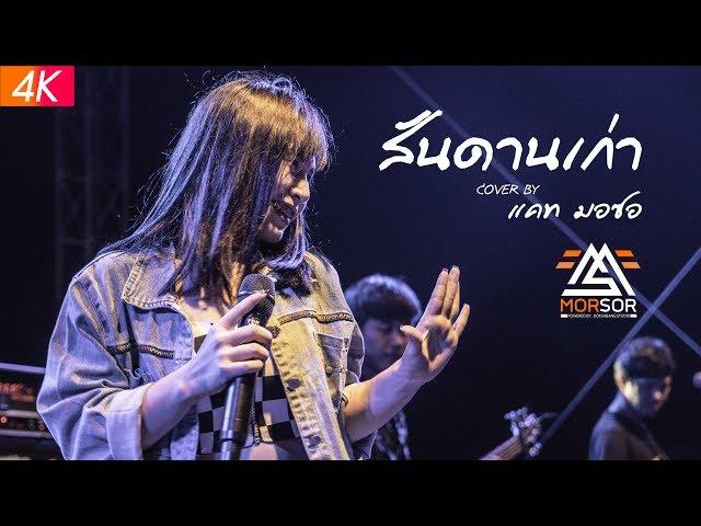 สันดานเก่า | แคท มอซอ | Cover แสดงสด 4K