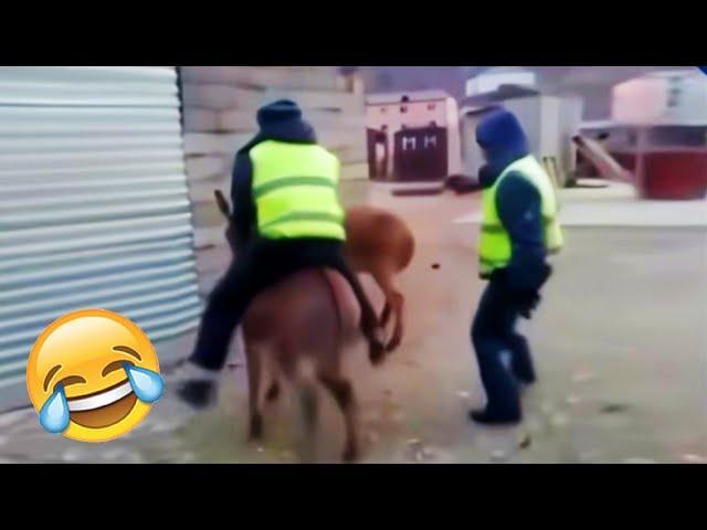 BEST OF THE MONTH #8 - Hilarious People's Life  TRY NOT TO LAUGH  PHD
