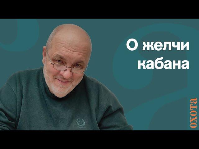 Желчь кабана. Валери Кузенков о том, что делать с желчью кабана.